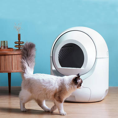 Affordable self clearance cleaning litter box